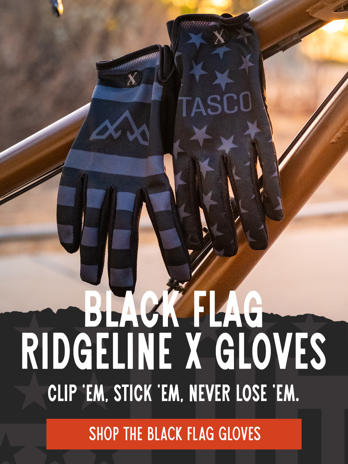 BLACK_FLAG_GLVOES_MOBILE.jpg
